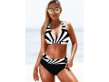 Geometric Print Contrast Halter Bikini Set