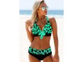 Leopard Print Wide Strap Bowknot Detail Halter Bikini Set