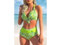 Paisley Print Green Halter Bikini Set