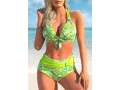 Paisley Print Green Halter Bikini Set