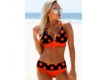 Polka Dot Halter Bowknot Bikini Set