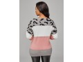 Leopard Long Sleeve Color Block Sweater